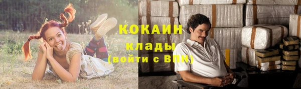 соль ск Алзамай