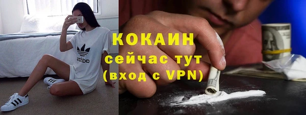 соль ск Алзамай
