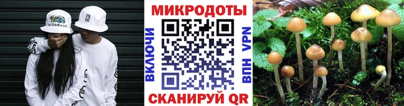 Псилоцибиновые грибы MAGIC MUSHROOMS Андреаполь