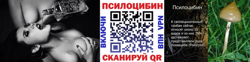 Галлюциногенные грибы Magic Shrooms  Андреаполь 